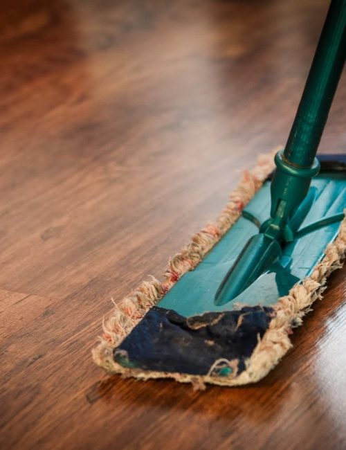 cleaning-washing-cleanup-the-ilo-48889